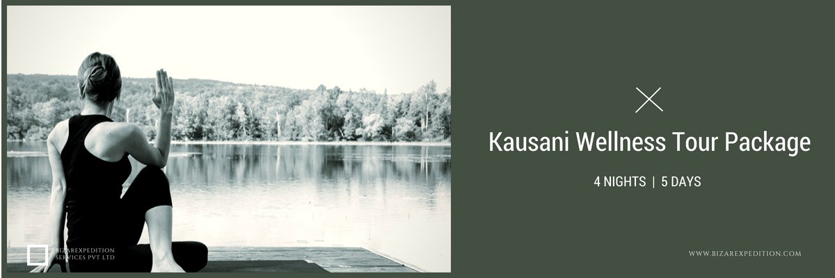 Kausani wellness tour package 4N/5D